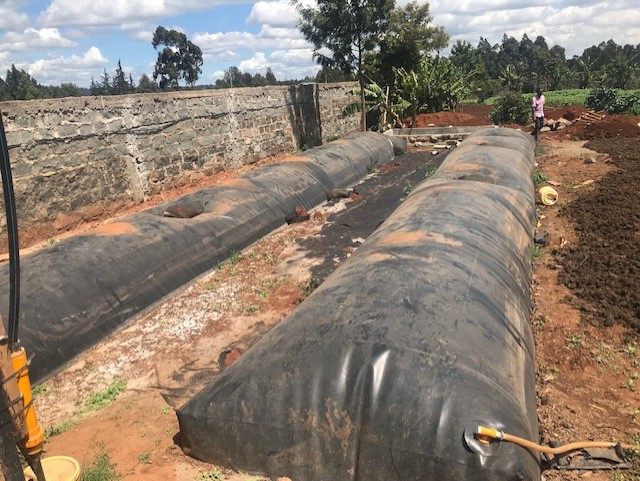 Big plastic bags on a Kenyan farm.